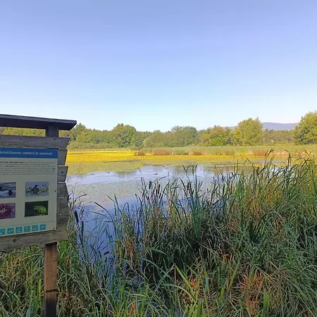 Apartment Apartma Velesa *