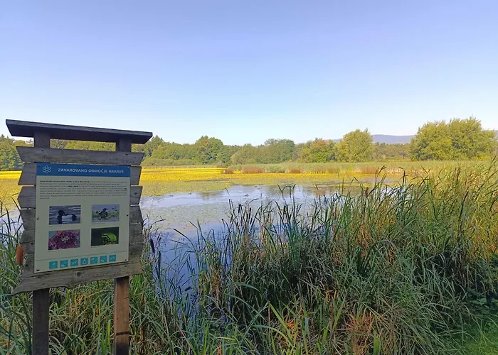 דירה Apartma Velesa *